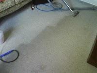 MGD Professional carpet and upholstery cleaners 356763 Image 6